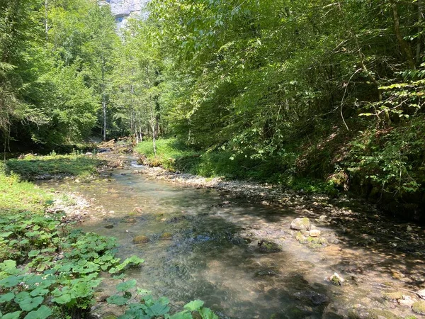 Kleine Bergrivier Gerovcica Zamost Regio Gorski Kotar Kroatië Mala Gorska — Stockfoto