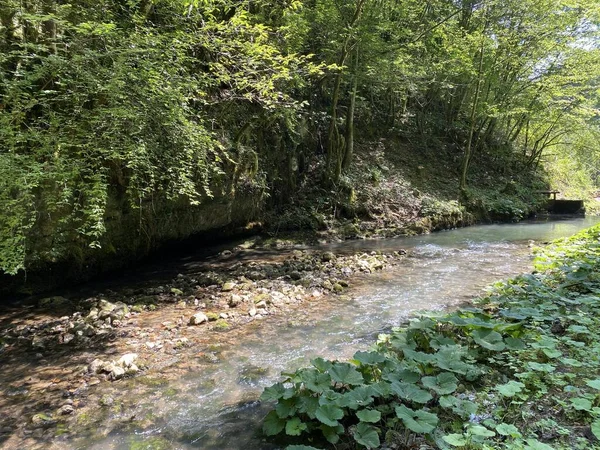 Pequeño Río Montaña Gerovcica Zamost Región Gorski Kotar Croacia Mala — Foto de Stock