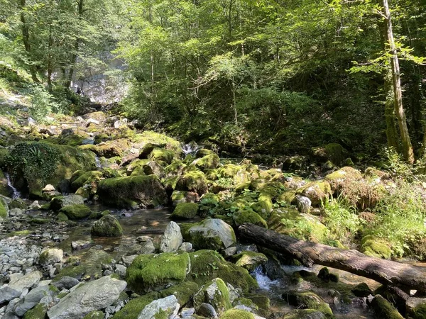 Small Mountain River Gerovcica Zamost Region Gorski Kotar Croatia Mala — Stock Photo, Image