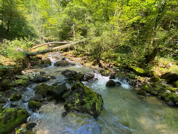 Kleiner Gebirgsfluss Gerovcica Zamost Region Gorski Kotar Kroatien Mala Gorska — Stockfoto