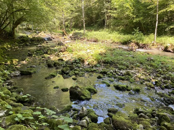 Kleine Bergrivier Gerovcica Zamost Regio Gorski Kotar Kroatië Mala Gorska — Stockfoto