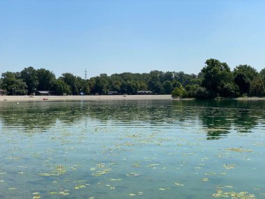 Jarun - yaz boyunca küçük göl veya Jarunsko küçük gölü, Zagreb - Hırvatistan (Jarun - malo jezero ili Jarunsko malo jezero tijekom ljeta (RSC Jarun), Zagreb - Hrvatska)