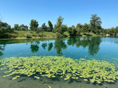 Jarun - küçük göl veya Jarun küçük gölü ve yaz boyunca kürekçilerin adası, Zagreb - Hırvatistan (Jarun - malo jezero ili Jarunsko malo jezero i Otok veslaca tijekom ljeta (RSC Jarun), Zagreb - Hrvatska)