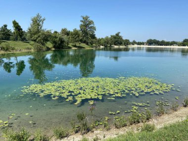 Jarun - küçük göl veya Jarun küçük gölü ve yaz boyunca kürekçilerin adası, Zagreb - Hırvatistan (Jarun - malo jezero ili Jarunsko malo jezero i Otok veslaca tijekom ljeta (RSC Jarun), Zagreb - Hrvatska)