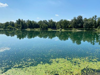Yaz boyunca Jarun Gölü ve Hırvat Gençlik Adası 'nda kürek çeken Zagreb - Hırvatistan (Veslacka staza na jezeru Jarun i Otok hrvatske mladezi tijekom ljeta (RSC Jarun), Zagreb - Hrvatska)