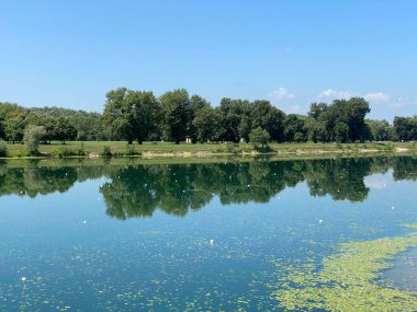 Yaz boyunca Jarun Gölü ve Hırvat Gençlik Adası 'nda kürek çeken Zagreb - Hırvatistan (Veslacka staza na jezeru Jarun i Otok hrvatske mladezi tijekom ljeta (RSC Jarun), Zagreb - Hrvatska)