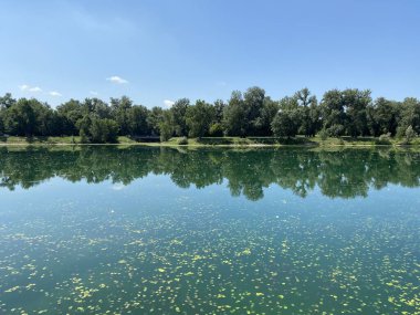 Yaz boyunca Jarun Gölü ve Hırvat Gençlik Adası 'nda kürek çeken Zagreb - Hırvatistan (Veslacka staza na jezeru Jarun i Otok hrvatske mladezi tijekom ljeta (RSC Jarun), Zagreb - Hrvatska)