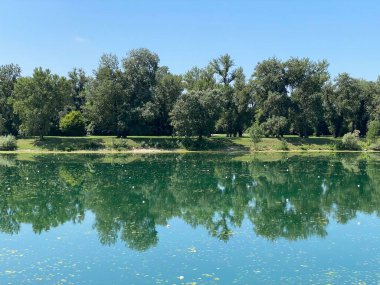 Yaz boyunca Jarun Gölü ve Hırvat Gençlik Adası 'nda kürek çeken Zagreb - Hırvatistan (Veslacka staza na jezeru Jarun i Otok hrvatske mladezi tijekom ljeta (RSC Jarun), Zagreb - Hrvatska)