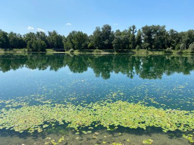 Yaz boyunca Jarun Gölü ve Hırvat Gençlik Adası 'nda kürek çeken Zagreb - Hırvatistan (Veslacka staza na jezeru Jarun i Otok hrvatske mladezi tijekom ljeta (RSC Jarun), Zagreb - Hrvatska)