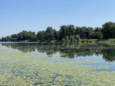 Yaz boyunca Jarun Gölü ve Hırvat Gençlik Adası 'nda kürek çeken Zagreb - Hırvatistan (Veslacka staza na jezeru Jarun i Otok hrvatske mladezi tijekom ljeta (RSC Jarun), Zagreb - Hrvatska)