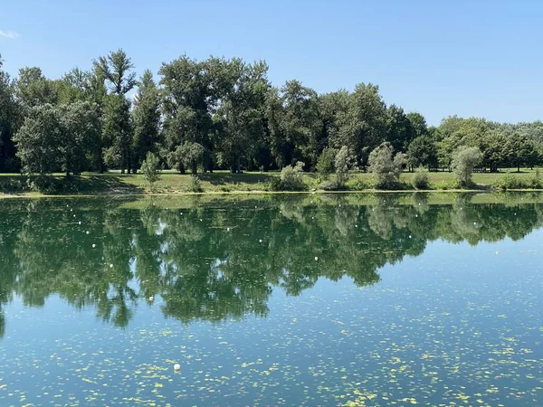 Rowing Trail Lake Jarun Croatian Youth Island Summer Zagreb Croácia — Fotografia de Stock