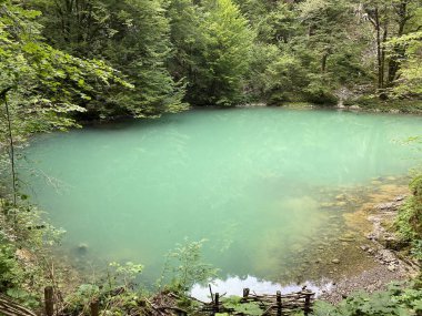 Kupa Nehri 'nin Karst pınarı veya Gorski kotar - Razloge, Hırvatistan' daki Kupa Nehri 'nin doğal anıt kaynağı (Krsko vrelo rijeke Kupe ili spomenik izvor rijeke Kupe u Gorskom kotaru - Hrvatska)