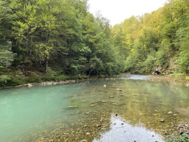Kupa Nehri 'nin akışı karst baharının tam altında - Razloge, Hırvatistan (Tok rijeke Kupe neposredno pod goranskim krskim vrelom, Razloge - Gorski kotar, Hrvatska)