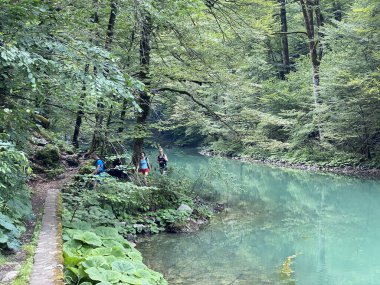 Kupa Nehri 'nin akışı karst baharının tam altında - Razloge, Hırvatistan (Tok rijeke Kupe neposredno pod goranskim krskim vrelom, Razloge - Gorski kotar, Hrvatska)