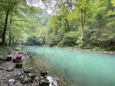 Kupa Nehri 'nin akışı karst baharının tam altında - Razloge, Hırvatistan (Tok rijeke Kupe neposredno pod goranskim krskim vrelom, Razloge - Gorski kotar, Hrvatska)