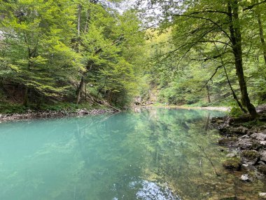 Kupa Nehri 'nin akışı karst baharının tam altında - Razloge, Hırvatistan (Tok rijeke Kupe neposredno pod goranskim krskim vrelom, Razloge - Gorski kotar, Hrvatska)
