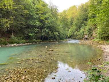 Kupa Nehri 'nin akışı karst baharının tam altında - Razloge, Hırvatistan (Tok rijeke Kupe neposredno pod goranskim krskim vrelom, Razloge - Gorski kotar, Hrvatska)