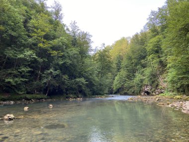 Kupa Nehri 'nin akışı karst baharının tam altında - Razloge, Hırvatistan (Tok rijeke Kupe neposredno pod goranskim krskim vrelom, Razloge - Gorski kotar, Hrvatska)