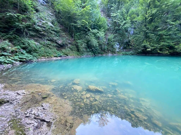 Karst Πηγή Του Ποταμού Kupa Φυσική Πηγή Μνημείου Του Ποταμού — Φωτογραφία Αρχείου