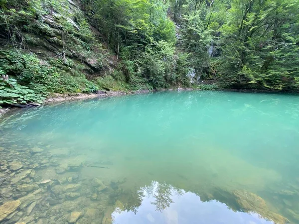 Karst Spring River Kupa Natural Monument Source River Kupa Region — Fotografia de Stock