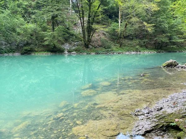 Karst Πηγή Του Ποταμού Kupa Φυσική Πηγή Μνημείου Του Ποταμού — Φωτογραφία Αρχείου