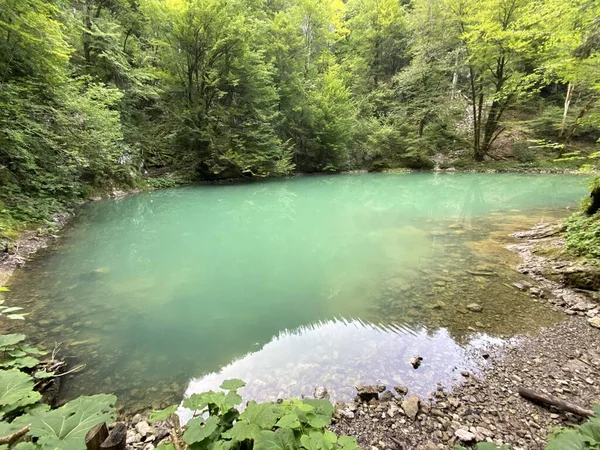 Karstbron Van Rivier Kupa Natuurlijke Monument Bron Van Rivier Kupa — Stockfoto