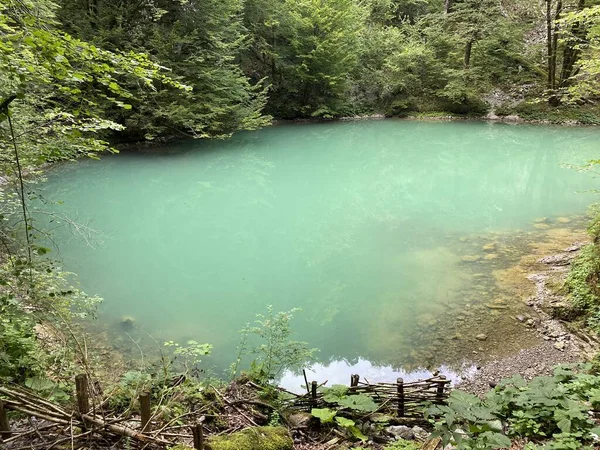 Kupa Nehri 'nin Karst pınarı veya Gorski kotar - Razloge, Hırvatistan' daki Kupa Nehri 'nin doğal anıt kaynağı (Krsko vrelo rijeke Kupe ili spomenik izvor rijeke Kupe u Gorskom kotaru - Hrvatska)