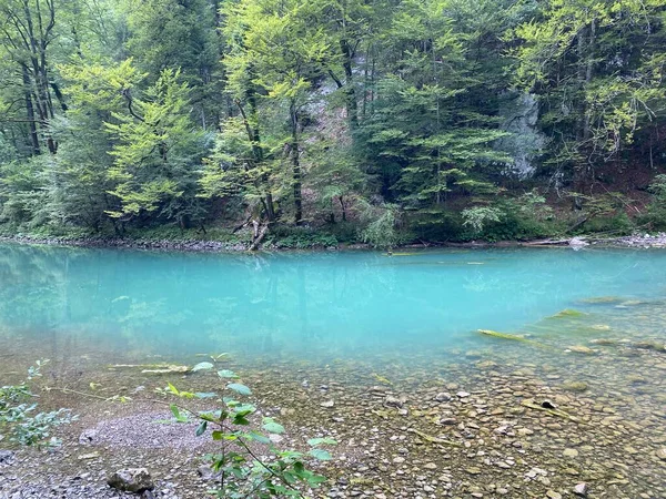 Course River Kupa Directly Mountain Karst Spring Razloge Croatia Tok — Stockfoto