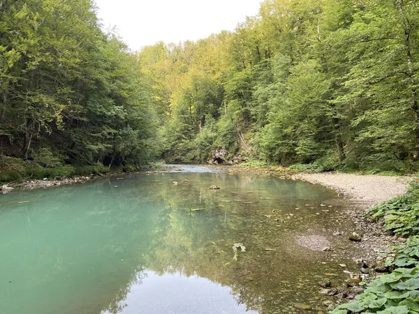 Course River Kupa Directly Mountain Karst Spring Razloge Croatia Tok — Fotografia de Stock