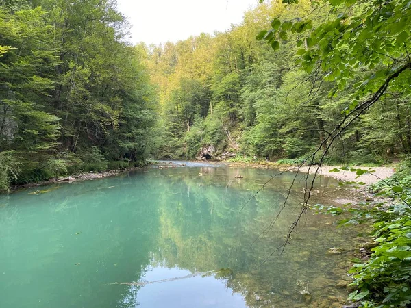 山のカルスト春の真下のクパ川のコース Razloge Croatia Tok Rijke Kupe Neposredno Pod Goranskim Krskim — ストック写真