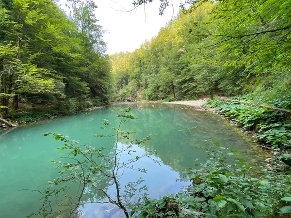 Course River Kupa Directly Mountain Karst Spring Razloge Croatia Tok — 图库照片
