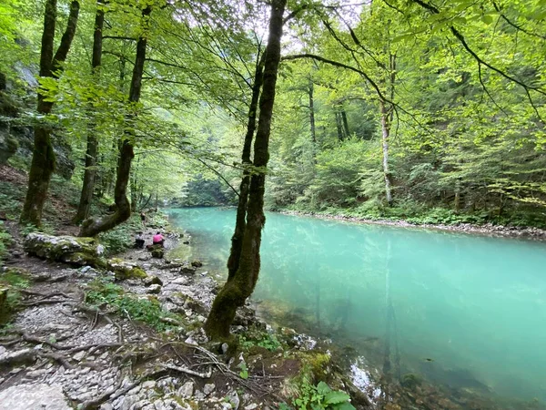 Loop Van Rivier Kupa Direct Onder Bergkarstbron Razloge Kroatië Tok — Stockfoto