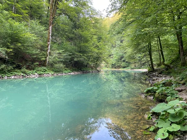 Loop Van Rivier Kupa Direct Onder Bergkarstbron Razloge Kroatië Tok — Stockfoto