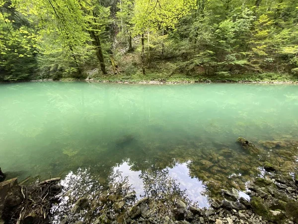 Course River Kupa Directly Mountain Karst Spring Razloge Croatia Tok — Stockfoto