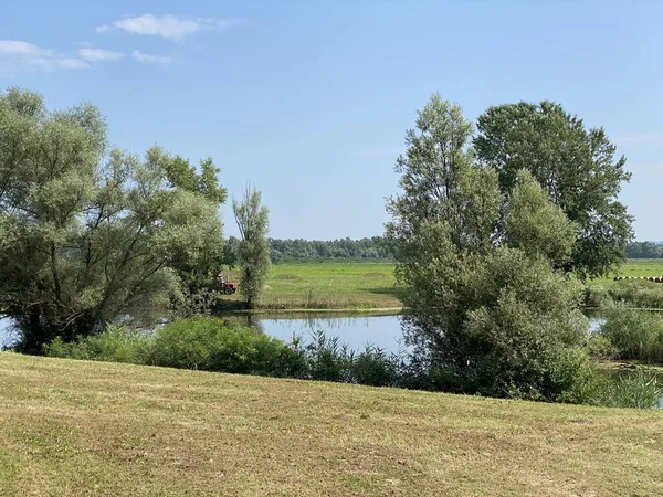 Озеро Мемориале Ясеновац Хорватия Jezero Spomen Podrucju Jasenovac Hrvatska — стоковое фото