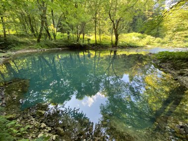 Kupica nehrinin kaynağı veya Kupica, Donje Tihovo - Gorski Kotar İlçesi, Hırvatistan (İzvor rijeke Kupice ili vrelo Kupice, Mala Lesnica - Gorski kotar, Hrvatska)