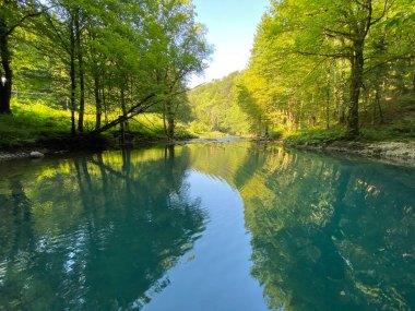 Kupica nehrinin kaynağı veya Kupica, Donje Tihovo - Gorski Kotar İlçesi, Hırvatistan (İzvor rijeke Kupice ili vrelo Kupice, Mala Lesnica - Gorski kotar, Hrvatska)