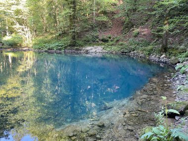 Kupica nehrinin kaynağı veya Kupica, Donje Tihovo - Gorski Kotar İlçesi, Hırvatistan (İzvor rijeke Kupice ili vrelo Kupice, Mala Lesnica - Gorski kotar, Hrvatska)