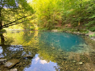 Kupica nehrinin kaynağı veya Kupica, Donje Tihovo - Gorski Kotar İlçesi, Hırvatistan (İzvor rijeke Kupice ili vrelo Kupice, Mala Lesnica - Gorski kotar, Hrvatska)