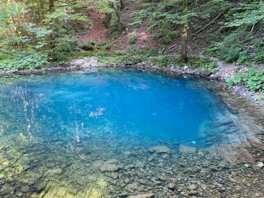 Kupica nehrinin kaynağı veya Kupica, Donje Tihovo - Gorski Kotar İlçesi, Hırvatistan (İzvor rijeke Kupice ili vrelo Kupice, Mala Lesnica - Gorski kotar, Hrvatska)