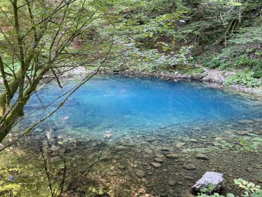 Kupica nehrinin kaynağı veya Kupica, Donje Tihovo - Gorski Kotar İlçesi, Hırvatistan (İzvor rijeke Kupice ili vrelo Kupice, Mala Lesnica - Gorski kotar, Hrvatska)