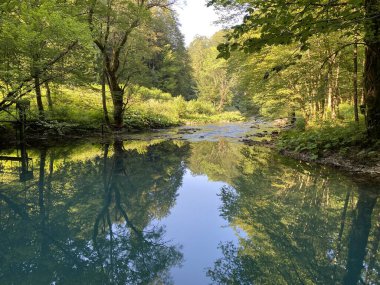 Kupica nehrinin kaynağı veya Kupica, Donje Tihovo - Gorski Kotar İlçesi, Hırvatistan (İzvor rijeke Kupice ili vrelo Kupice, Mala Lesnica - Gorski kotar, Hrvatska)