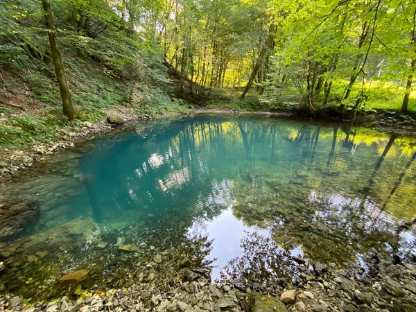 Source River Kupica Spring Kupica Donje Tihovo Gorski Kotar County — стоковое фото