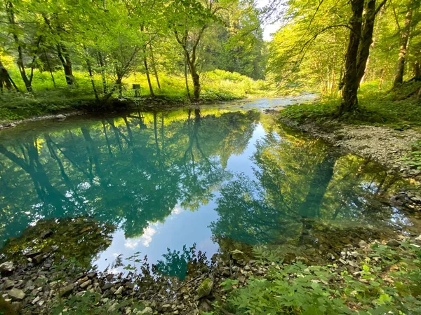 Source Rivière Kupica Source Kupica Donje Tihovo Gorski Kotar County — Photo
