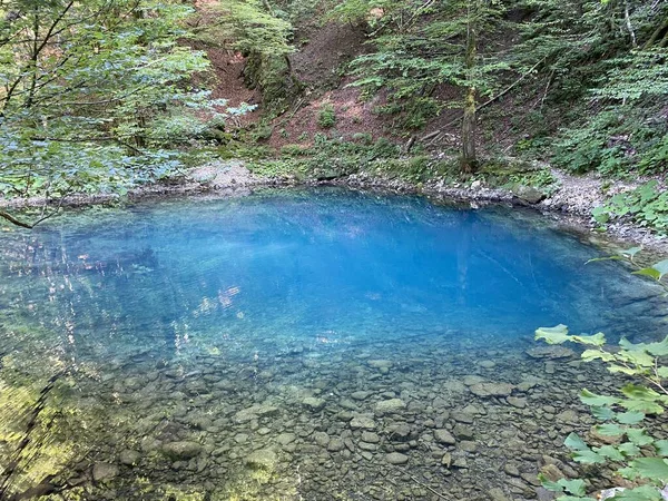 Source River Kupica Spring Kupica Donje Tihovo Gorski Kotar County — стоковое фото
