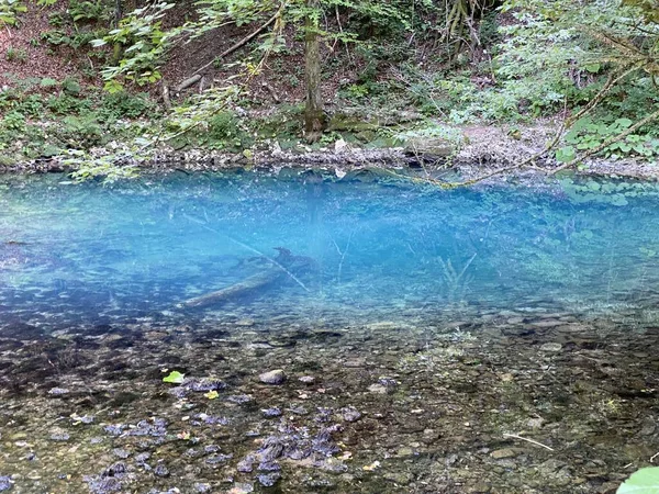 Source Rivière Kupica Source Kupica Donje Tihovo Gorski Kotar County — Photo