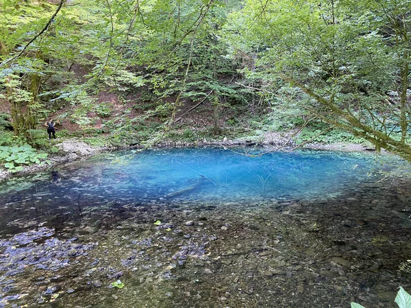 Source Rivière Kupica Source Kupica Donje Tihovo Gorski Kotar County — Photo