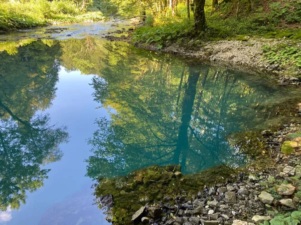 Source Rivière Kupica Source Kupica Donje Tihovo Gorski Kotar County — Photo