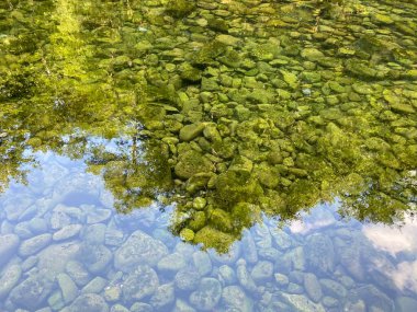 Kupica Nehri 'nin akışı, Karst Dağı pınarının tam altında (Tok rijeke Kupice neposredno pod goranskim krskim vrelom, Mala Lesnica - Gorski kotar, Hrvatska)