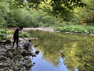 Kupica Nehri 'nin akışı, Karst Dağı pınarının tam altında (Tok rijeke Kupice neposredno pod goranskim krskim vrelom, Mala Lesnica - Gorski kotar, Hrvatska)